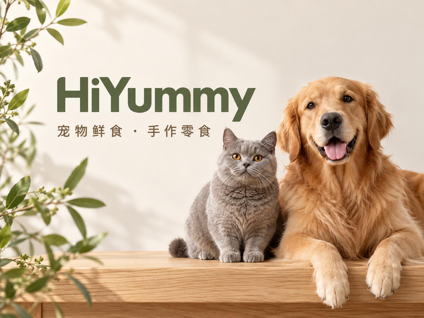 HiYummy 宠物鲜食